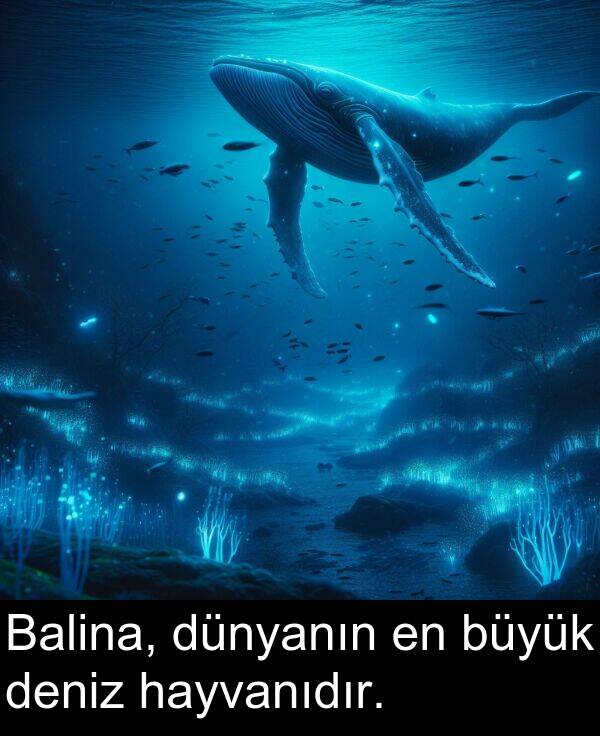 büyük: Balina, dünyanın en büyük deniz hayvanıdır.