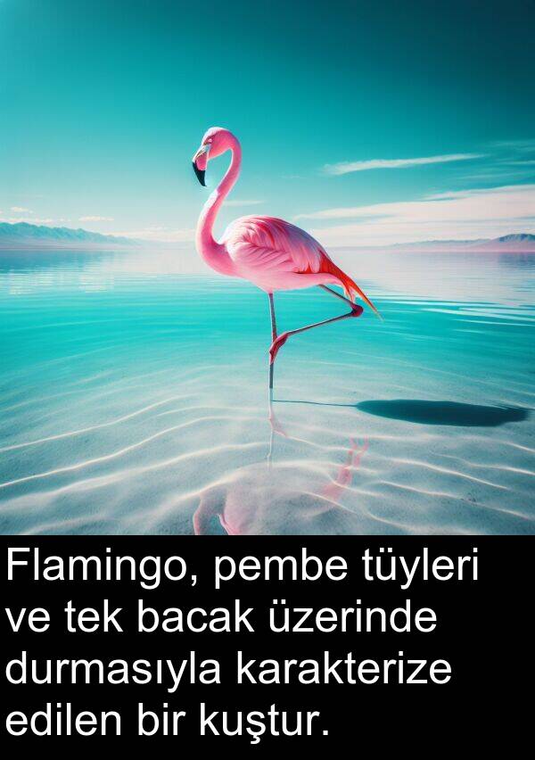 pembe: Flamingo, pembe tüyleri ve tek bacak üzerinde durmasıyla karakterize edilen bir kuştur.