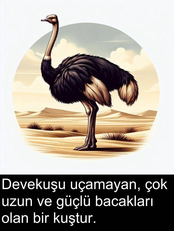 uçamayan: Devekuşu uçamayan, çok uzun ve güçlü bacakları olan bir kuştur.