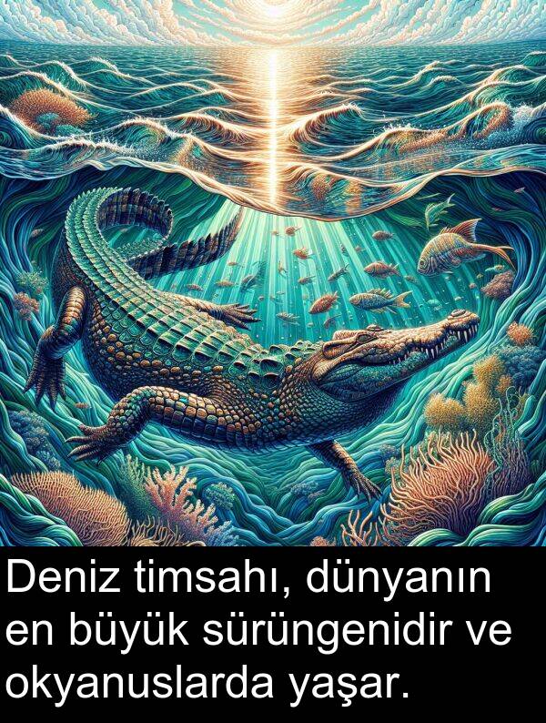 timsahı: Deniz timsahı, dünyanın en büyük sürüngenidir ve okyanuslarda yaşar.