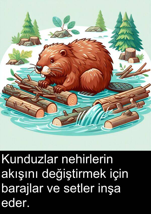 akışını: Kunduzlar nehirlerin akışını değiştirmek için barajlar ve setler inşa eder.