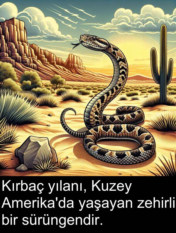 zehirli: Kırbaç yılanı, Kuzey Amerika'da yaşayan zehirli bir sürüngendir.