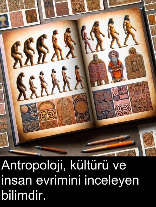 inceleyen: Antropoloji, kültürü ve insan evrimini inceleyen bilimdir.
