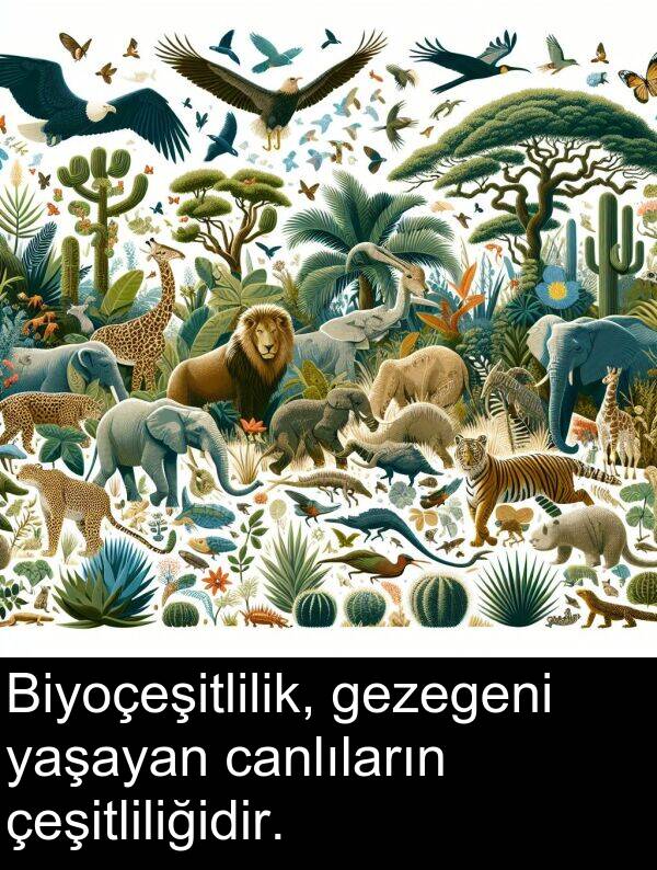 gezegeni: Biyoçeşitlilik, gezegeni yaşayan canlıların çeşitliliğidir.