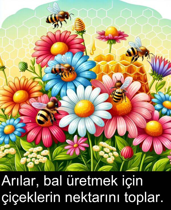 nektarını: Arılar, bal üretmek için çiçeklerin nektarını toplar.