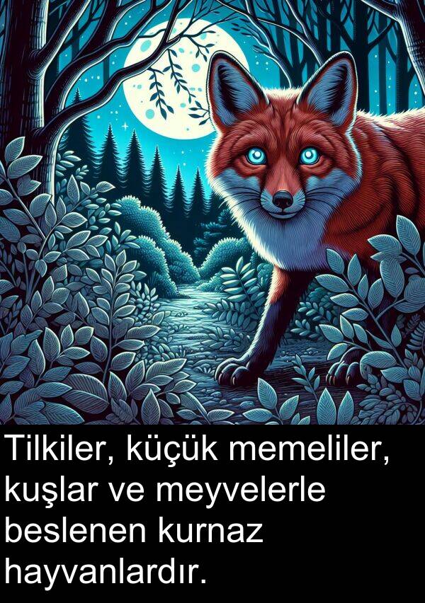 kuşlar: Tilkiler, küçük memeliler, kuşlar ve meyvelerle beslenen kurnaz hayvanlardır.