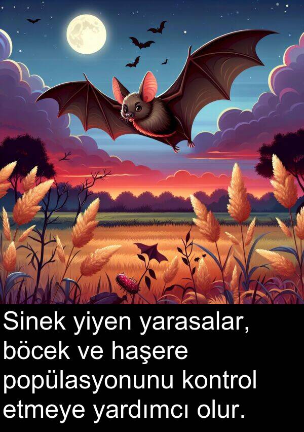 yarasalar: Sinek yiyen yarasalar, böcek ve haşere popülasyonunu kontrol etmeye yardımcı olur.