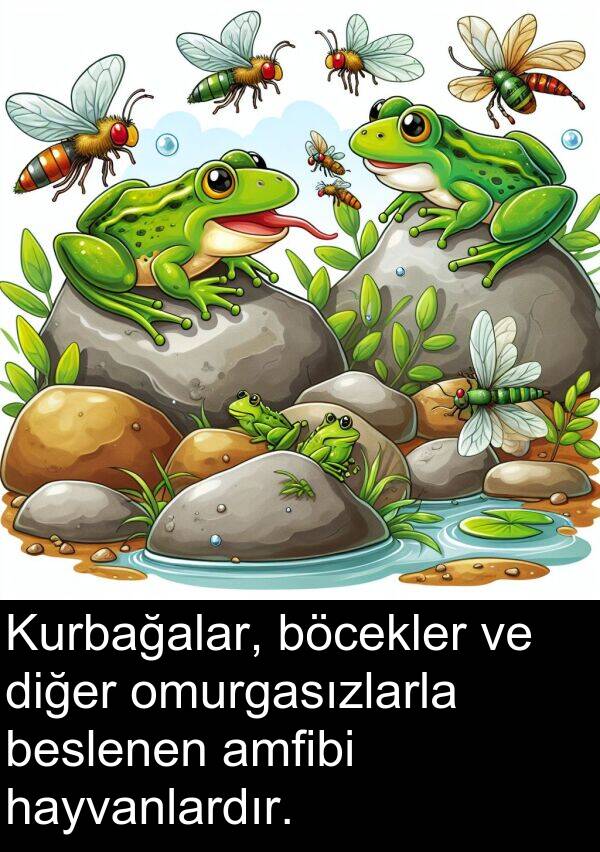 hayvanlardır: Kurbağalar, böcekler ve diğer omurgasızlarla beslenen amfibi hayvanlardır.
