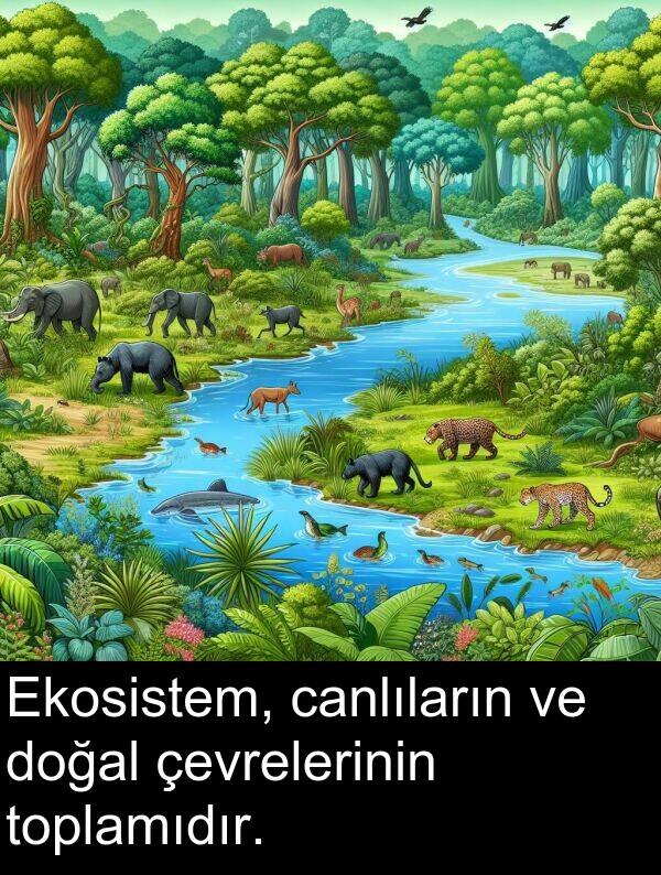çevrelerinin: Ekosistem, canlıların ve doğal çevrelerinin toplamıdır.