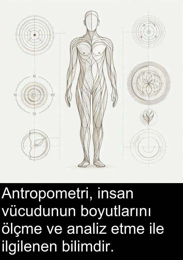 insan: Antropometri, insan vücudunun boyutlarını ölçme ve analiz etme ile ilgilenen bilimdir.