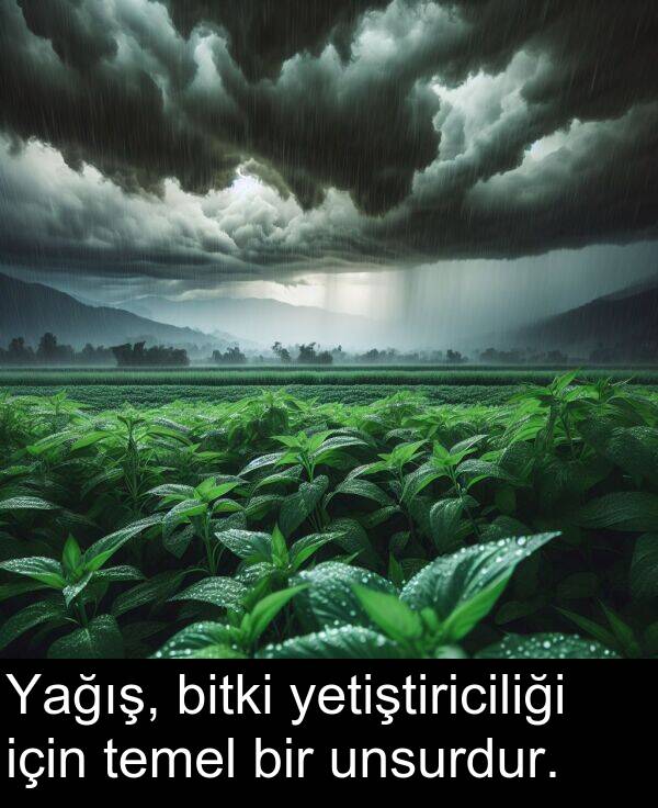 unsurdur: Yağış, bitki yetiştiriciliği için temel bir unsurdur.
