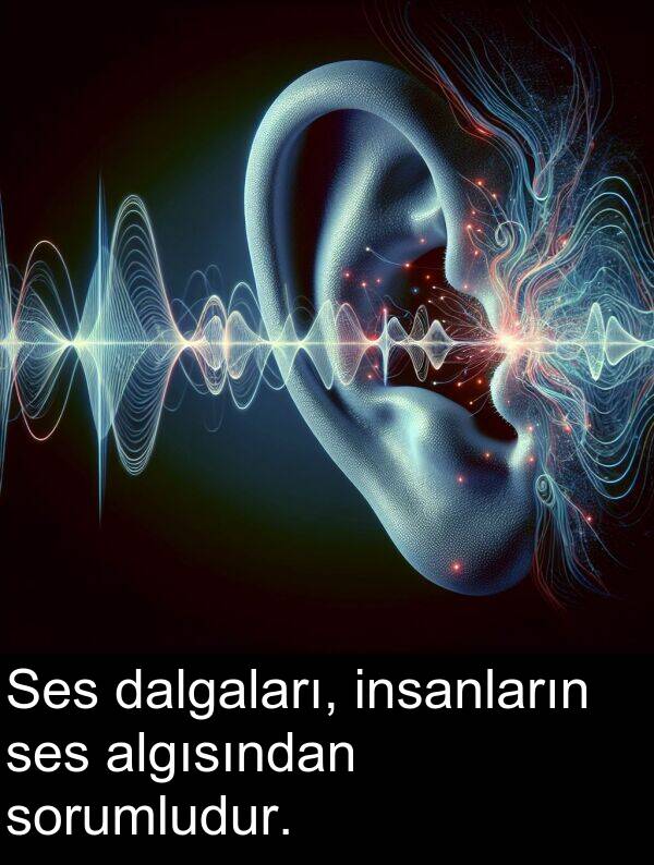 insanların: Ses dalgaları, insanların ses algısından sorumludur.
