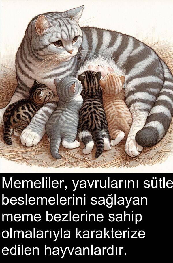 sağlayan: Memeliler, yavrularını sütle beslemelerini sağlayan meme bezlerine sahip olmalarıyla karakterize edilen hayvanlardır.