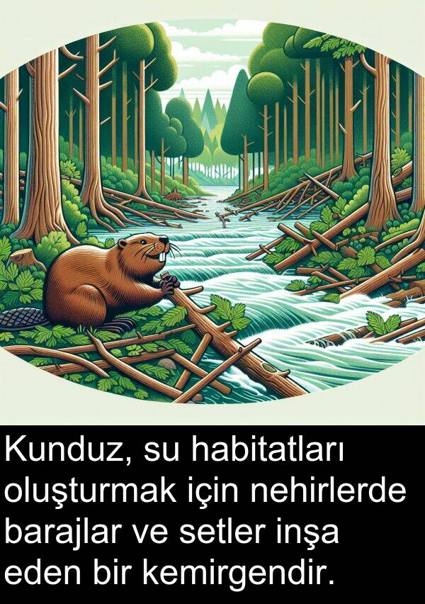 nehirlerde: Kunduz, su habitatları oluşturmak için nehirlerde barajlar ve setler inşa eden bir kemirgendir.