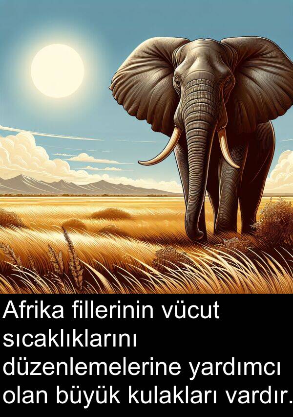 fillerinin: Afrika fillerinin vücut sıcaklıklarını düzenlemelerine yardımcı olan büyük kulakları vardır.