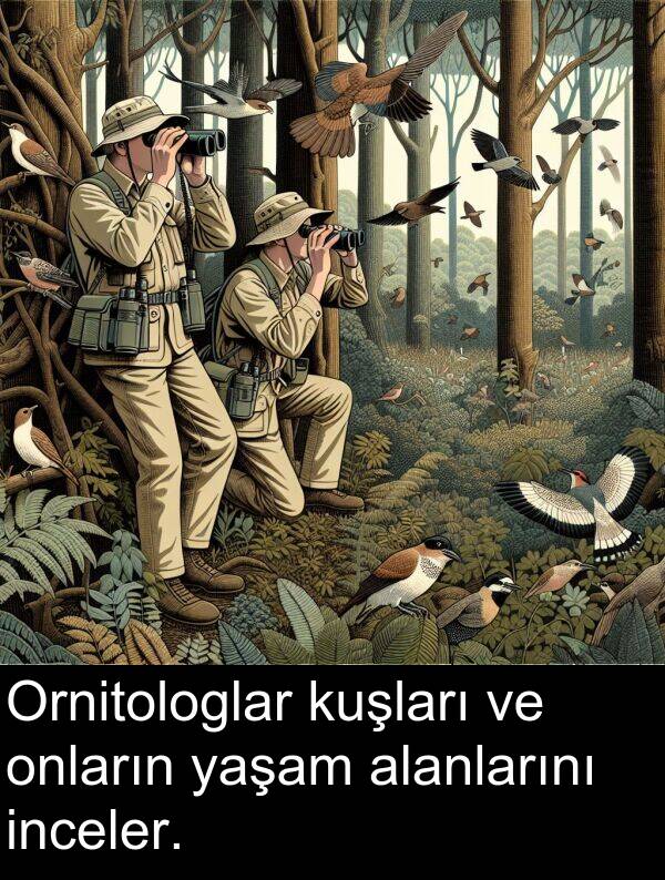 yaşam: Ornitologlar kuşları ve onların yaşam alanlarını inceler.