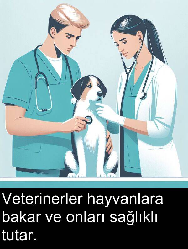 sağlıklı: Veterinerler hayvanlara bakar ve onları sağlıklı tutar.