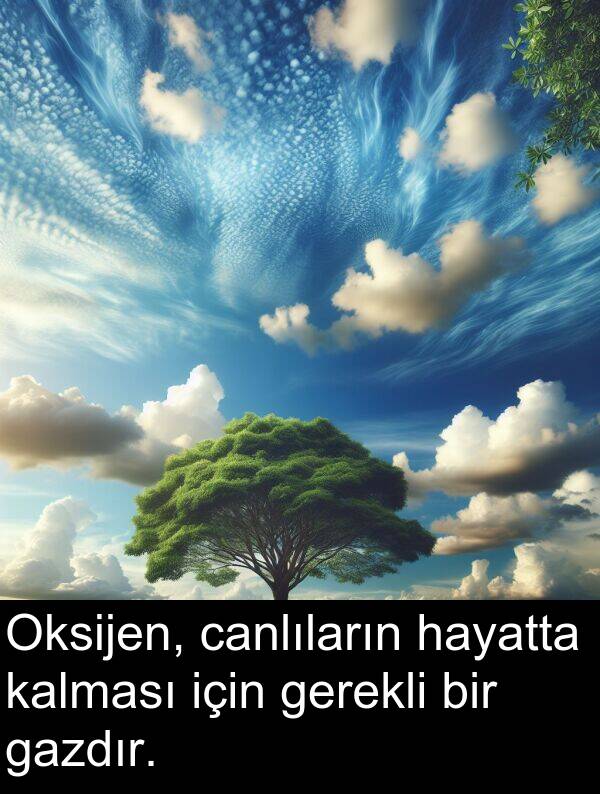 gerekli: Oksijen, canlıların hayatta kalması için gerekli bir gazdır.