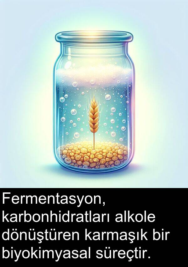 karbonhidratları: Fermentasyon, karbonhidratları alkole dönüştüren karmaşık bir biyokimyasal süreçtir.