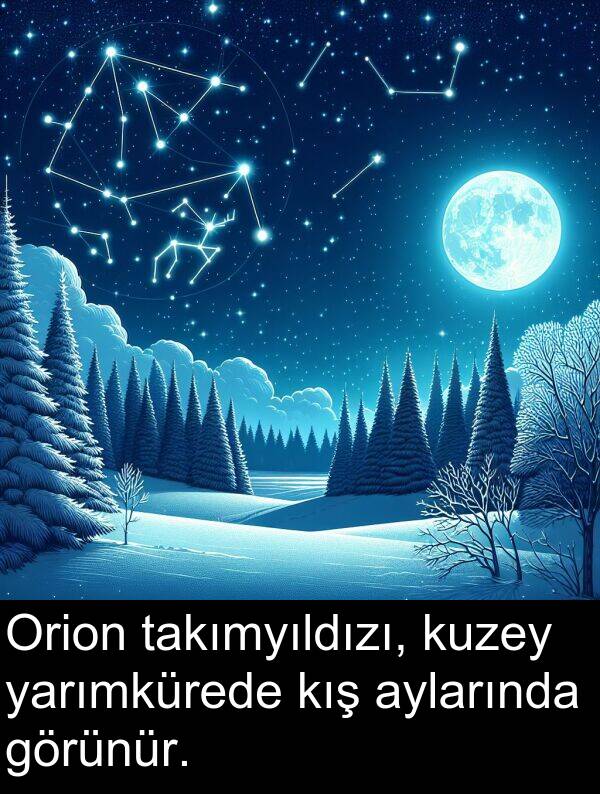 aylarında: Orion takımyıldızı, kuzey yarımkürede kış aylarında görünür.