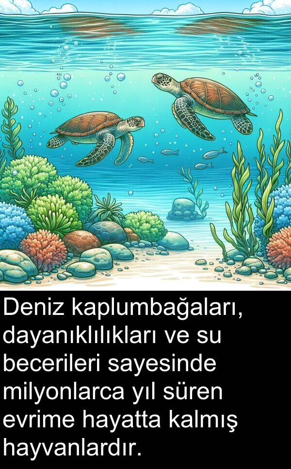 kalmış: Deniz kaplumbağaları, dayanıklılıkları ve su becerileri sayesinde milyonlarca yıl süren evrime hayatta kalmış hayvanlardır.