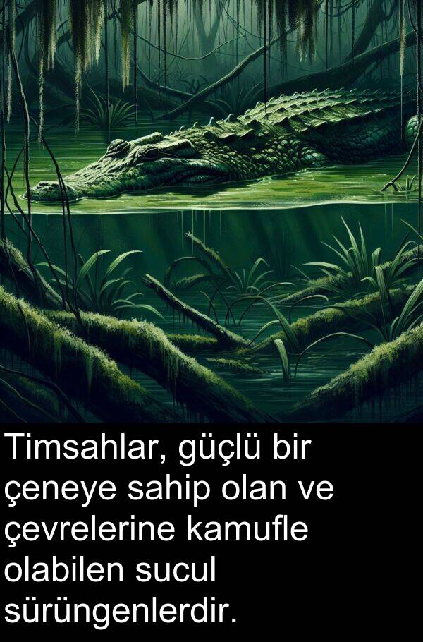sahip: Timsahlar, güçlü bir çeneye sahip olan ve çevrelerine kamufle olabilen sucul sürüngenlerdir.