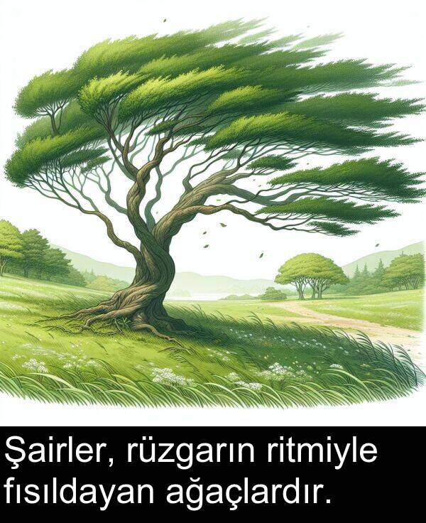 fısıldayan: Şairler, rüzgarın ritmiyle fısıldayan ağaçlardır.