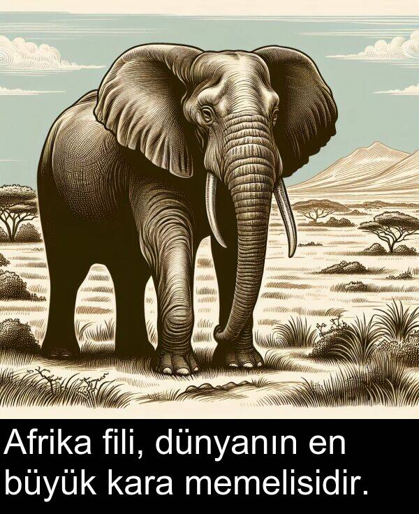 fili: Afrika fili, dünyanın en büyük kara memelisidir.