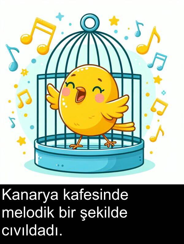 kafesinde: Kanarya kafesinde melodik bir şekilde cıvıldadı.