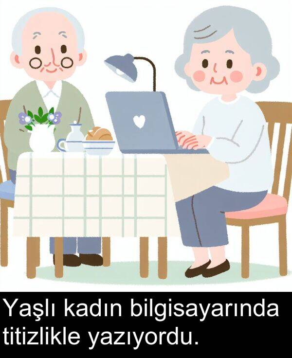 kadın: Yaşlı kadın bilgisayarında titizlikle yazıyordu.