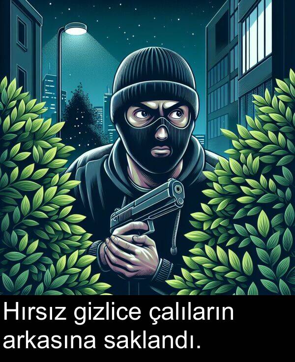 çalıların: Hırsız gizlice çalıların arkasına saklandı.