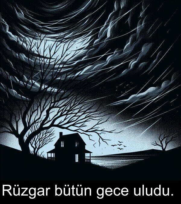 uludu: Rüzgar bütün gece uludu.