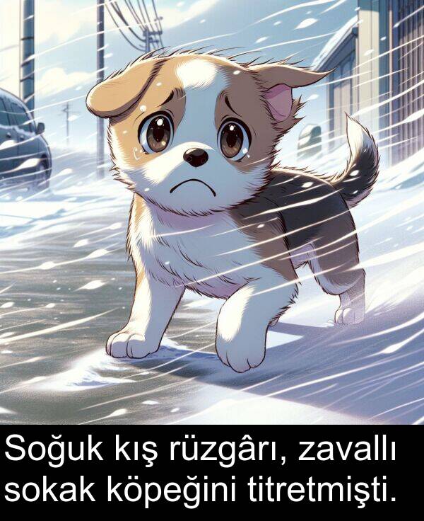zavallı: Soğuk kış rüzgârı, zavallı sokak köpeğini titretmişti.