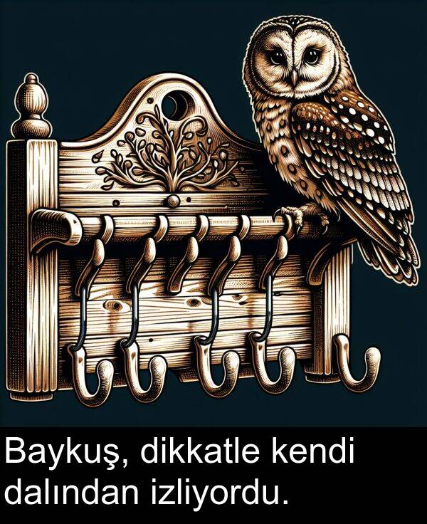 kendi: Baykuş, dikkatle kendi dalından izliyordu.