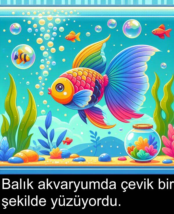 akvaryumda: Balık akvaryumda çevik bir şekilde yüzüyordu.