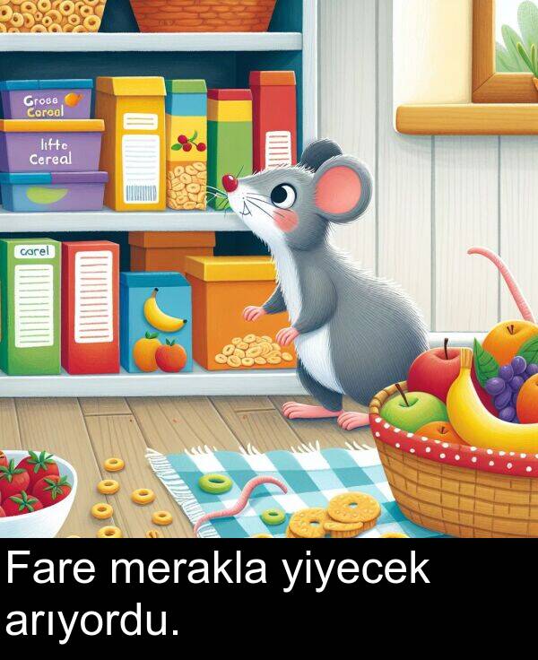 arıyordu: Fare merakla yiyecek arıyordu.