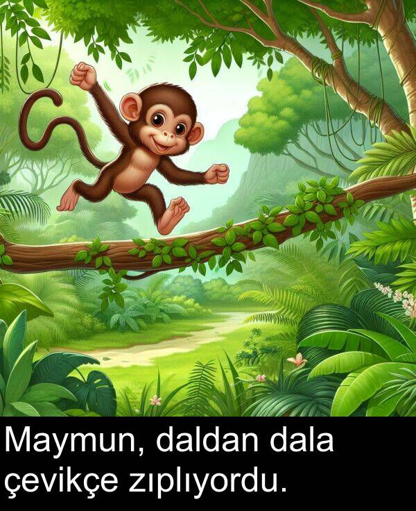 zıplıyordu: Maymun, daldan dala çevikçe zıplıyordu.