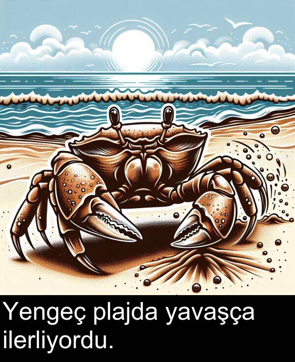 plajda: Yengeç plajda yavaşça ilerliyordu.