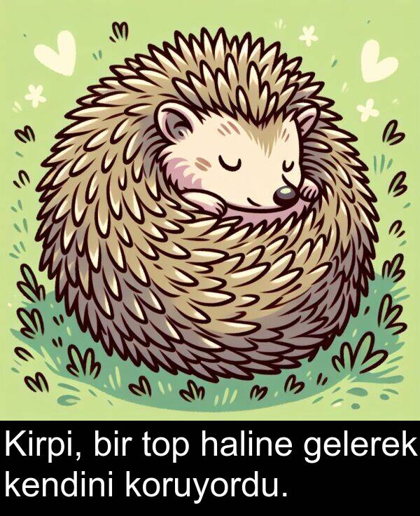 gelerek: Kirpi, bir top haline gelerek kendini koruyordu.