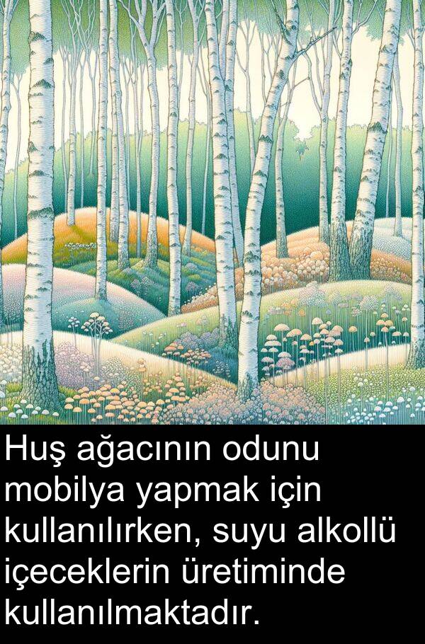 ağacının: Huş ağacının odunu mobilya yapmak için kullanılırken, suyu alkollü içeceklerin üretiminde kullanılmaktadır.
