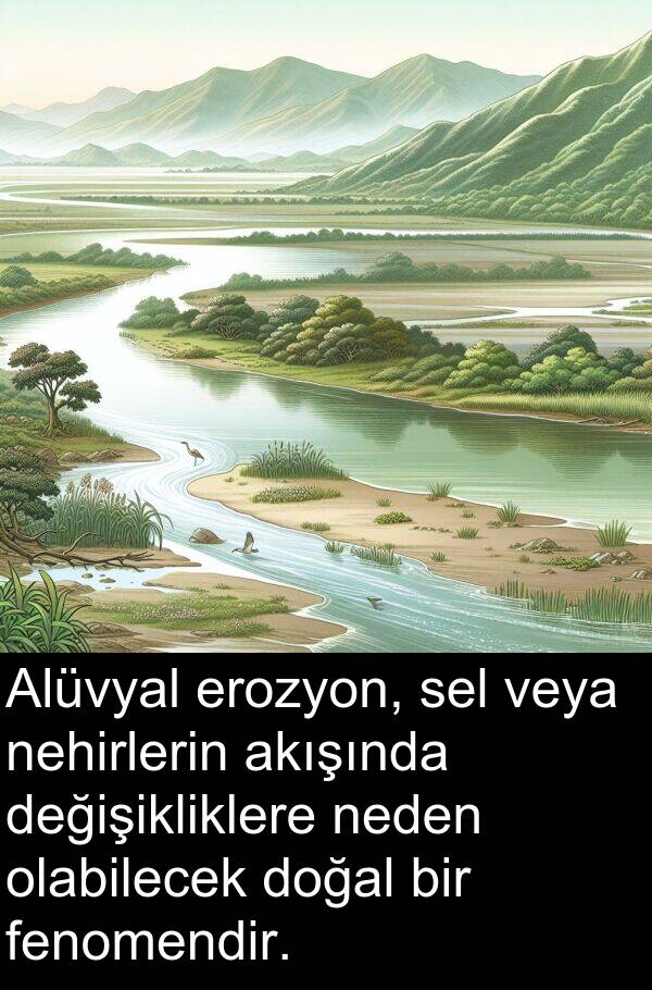 neden: Alüvyal erozyon, sel veya nehirlerin akışında değişikliklere neden olabilecek doğal bir fenomendir.