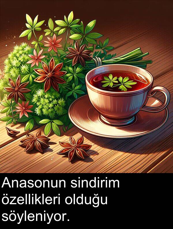 özellikleri: Anasonun sindirim özellikleri olduğu söyleniyor.