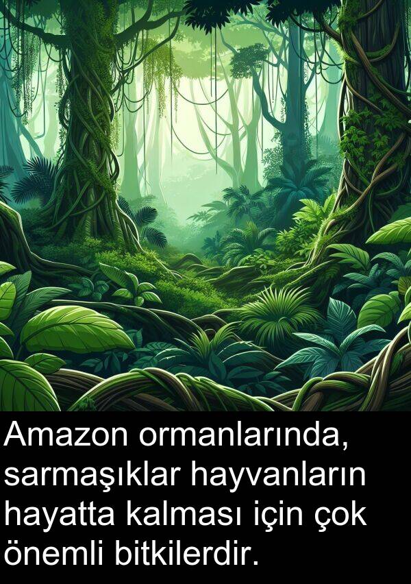 sarmaşıklar: Amazon ormanlarında, sarmaşıklar hayvanların hayatta kalması için çok önemli bitkilerdir.