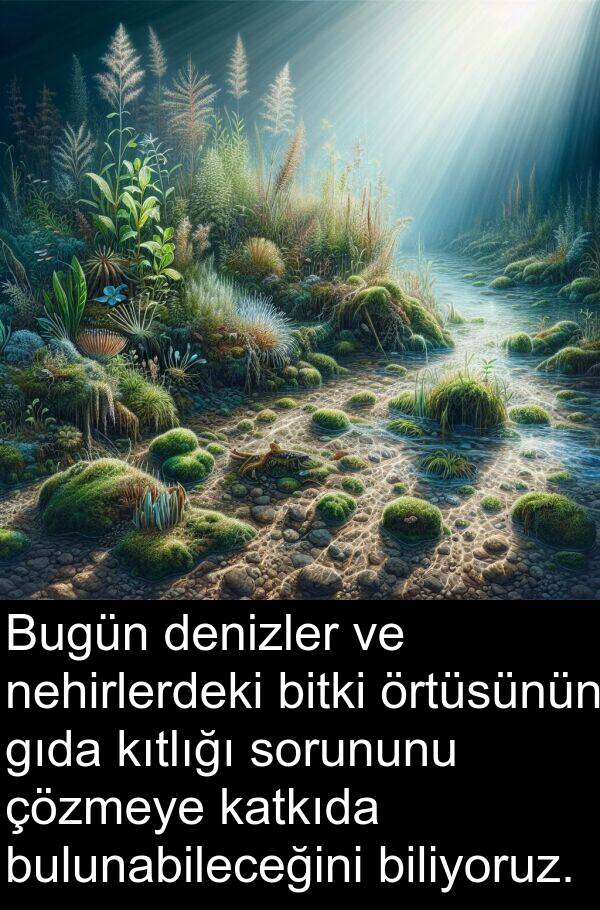 bitki: Bugün denizler ve nehirlerdeki bitki örtüsünün gıda kıtlığı sorununu çözmeye katkıda bulunabileceğini biliyoruz.