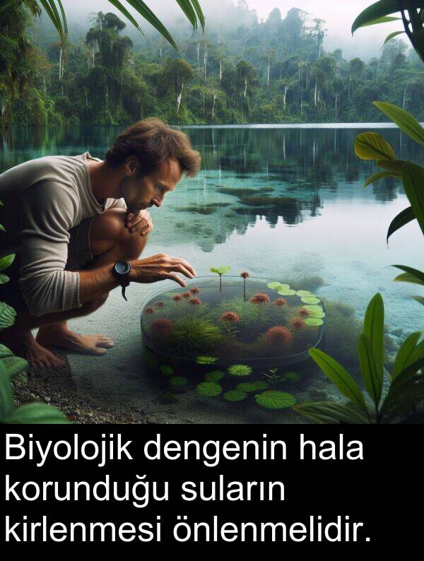 önlenmelidir: Biyolojik dengenin hala korunduğu suların kirlenmesi önlenmelidir.