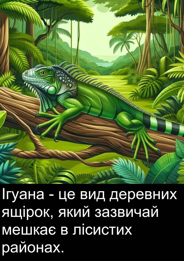 районах: Ігуана - це вид деревних ящірок, який зазвичай мешкає в лісистих районах.