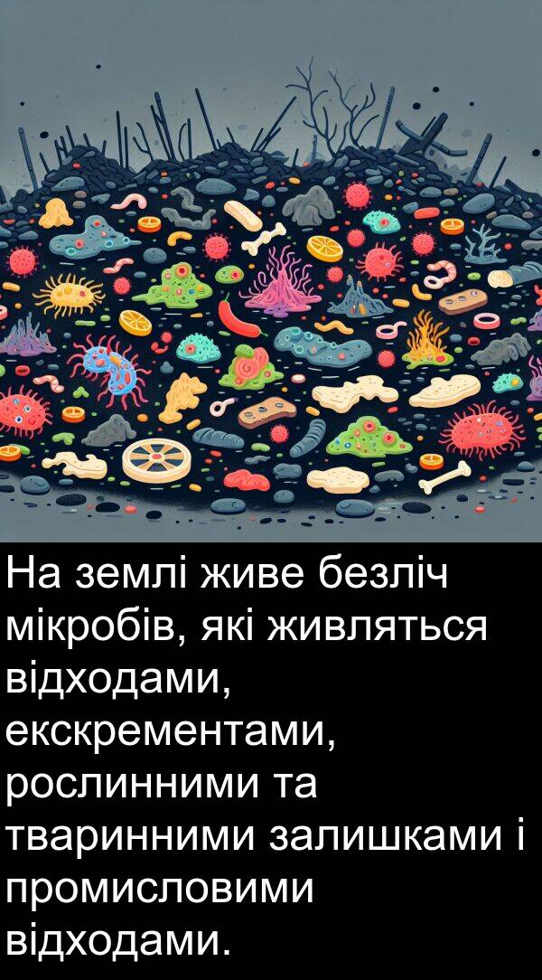 рослинними: На землі живе безліч мікробів, які живляться відходами, екскрементами, рослинними та тваринними залишками і промисловими відходами.