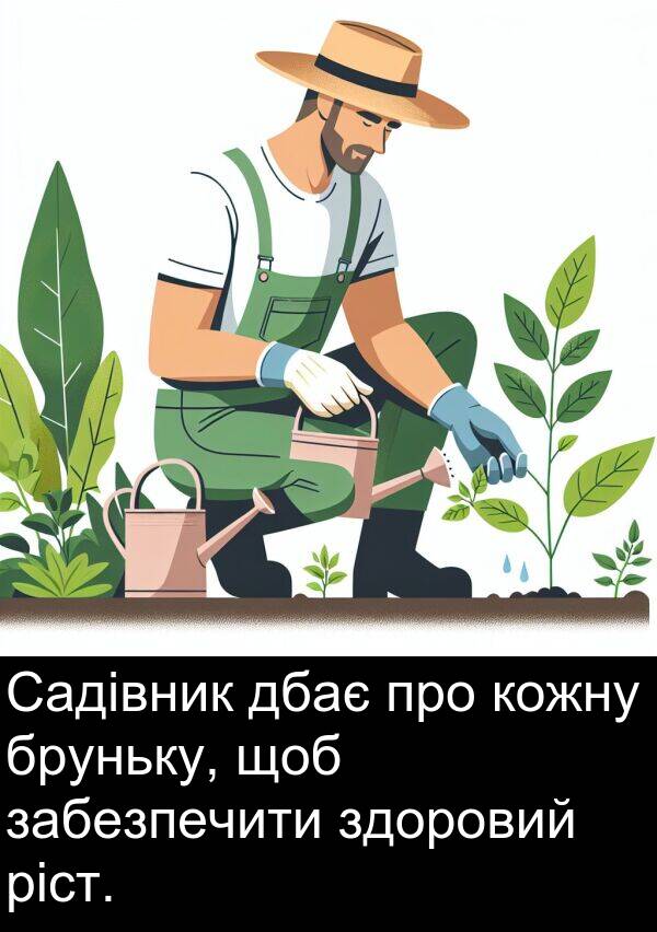 забезпечити: Садівник дбає про кожну бруньку, щоб забезпечити здоровий ріст.
