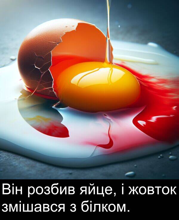 білком: Він розбив яйце, і жовток змішався з білком.