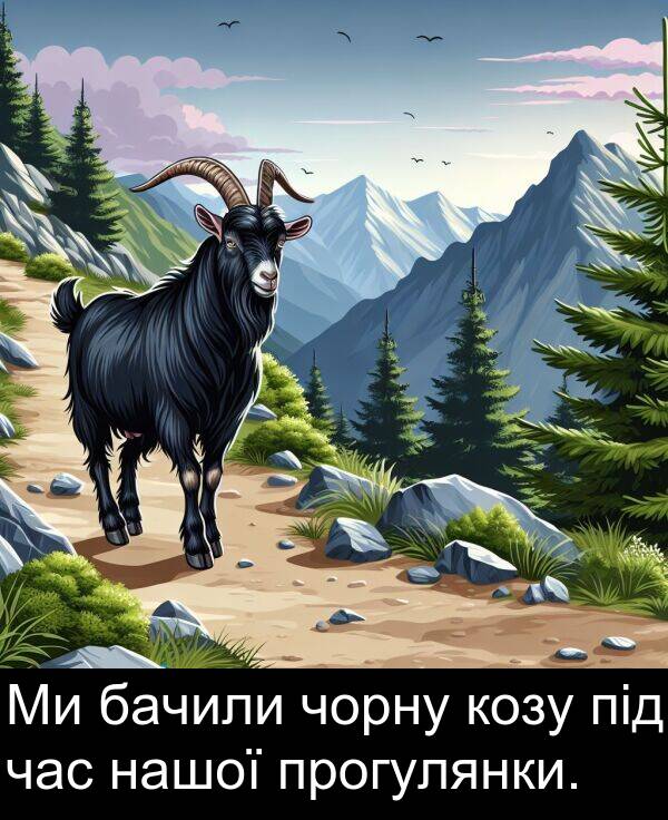 під: Ми бачили чорну козу під час нашої прогулянки.